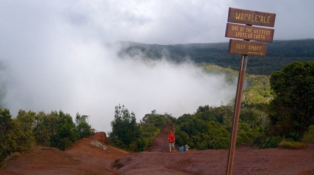 Pu\'u O Kila Lookout แสดง หมอก, ป่า และ ป้าย