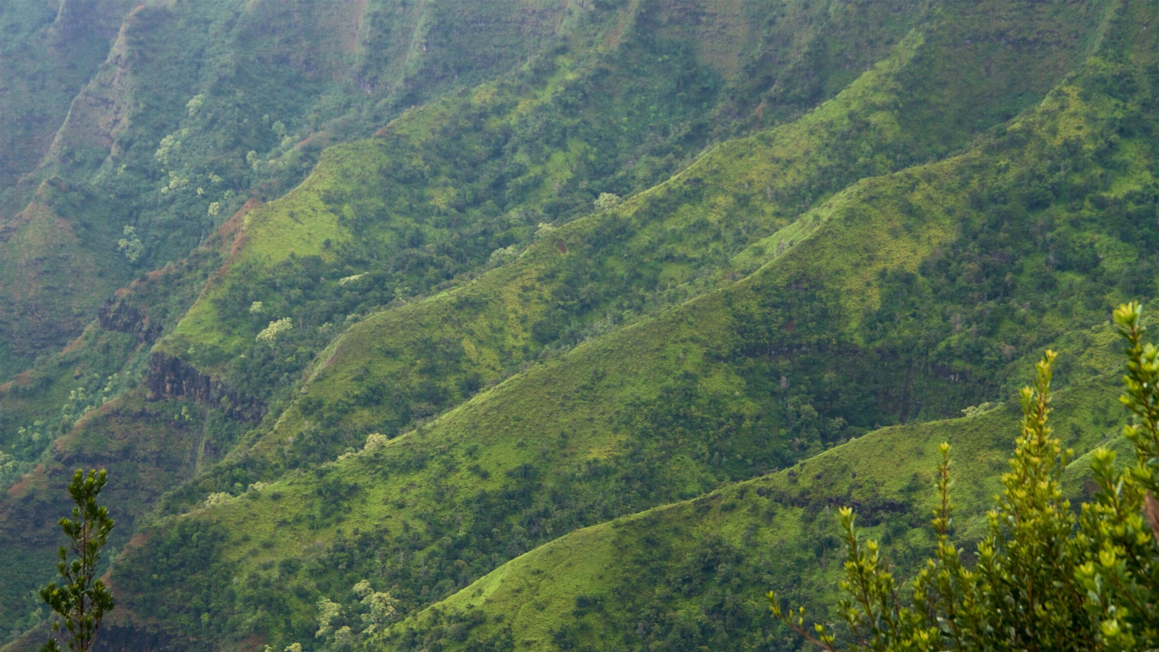 Pu\'u O Kila Lookout which includes a gorge or canyon and landscape views