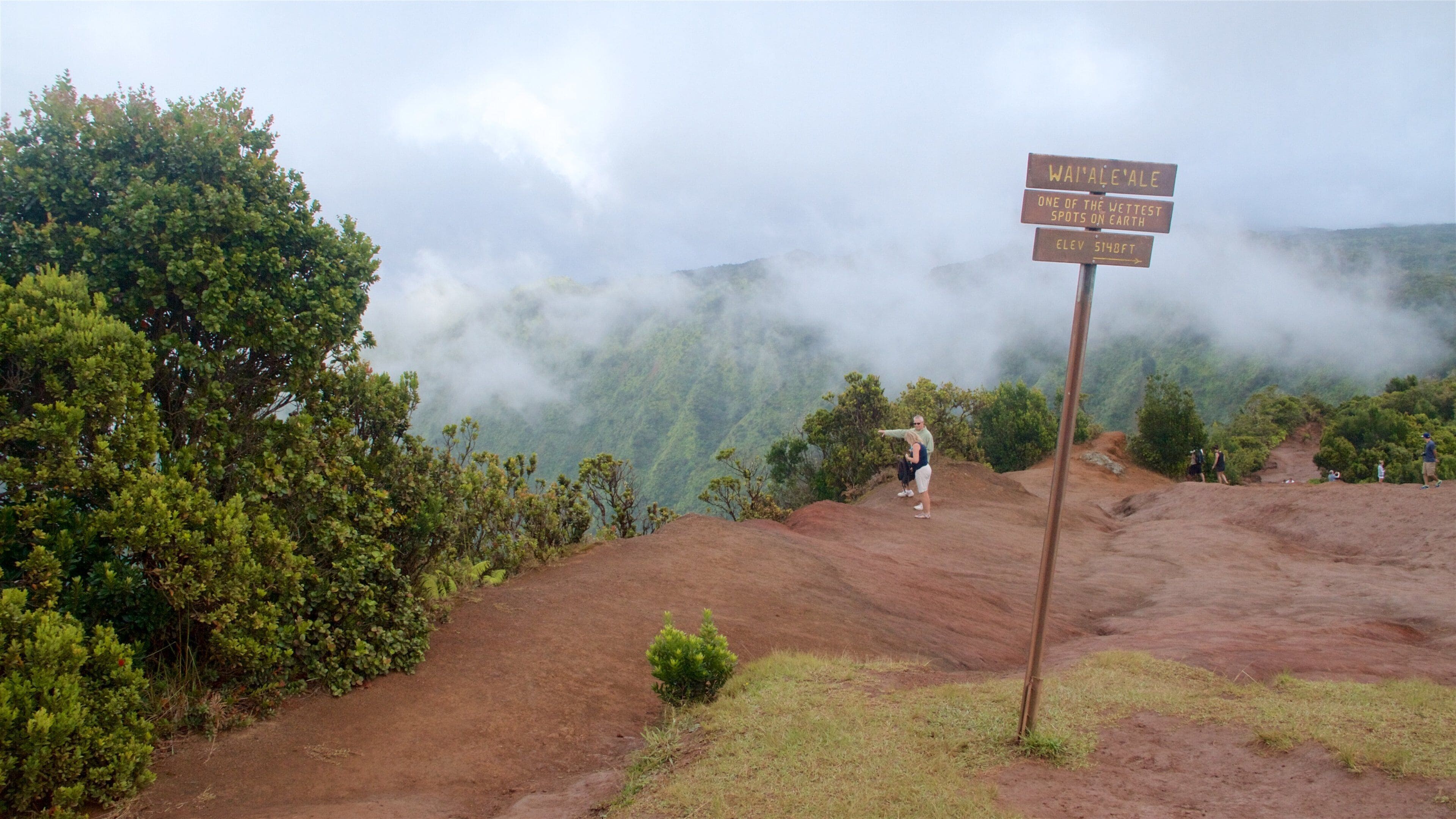 Pu\'u O Kila Lookout featuring mist or fog, mountains and signage