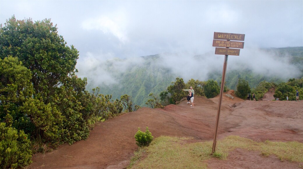 Pu\'u O Kila Lookout featuring mist or fog, mountains and signage