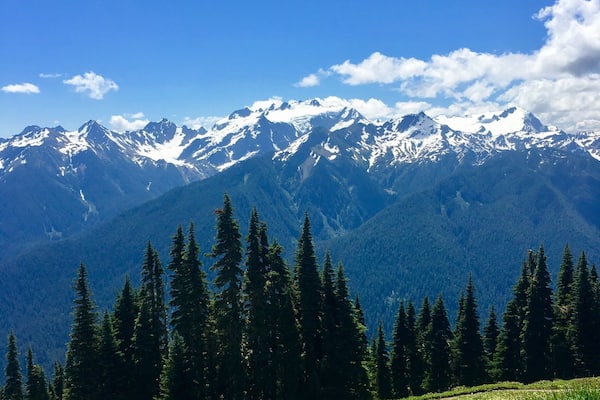 Uma cordilheira com picos nevados, floresta densa de coníferas e um céu azul límpido.