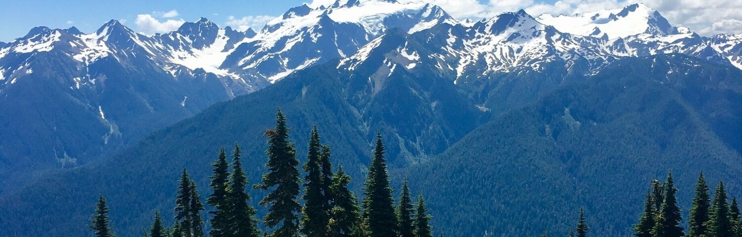 View of Mt. Olympus from the High Divide