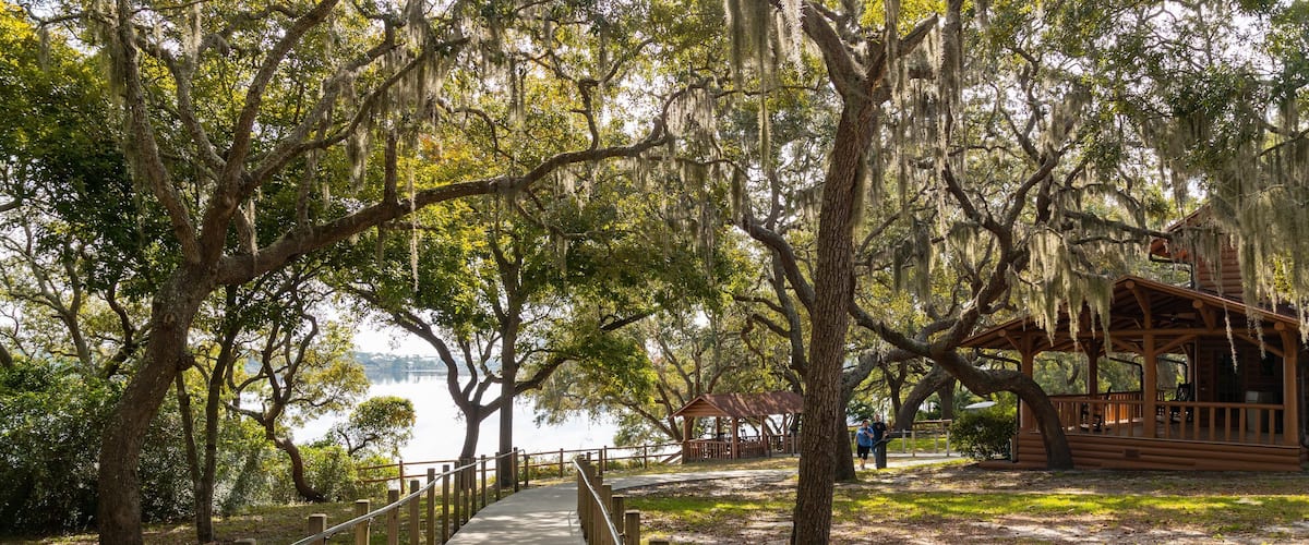Camp Helen State Park which includes a garden