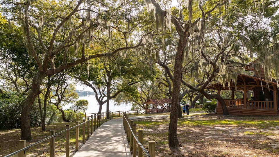 A wooden boardwalk surrounded by trees with Spanish moss, leading to a covered pavilion by a lake.