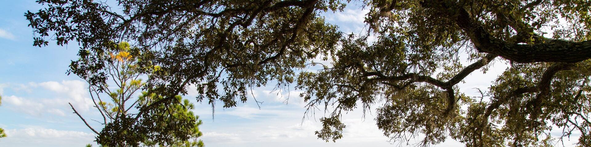Camp Helen State Park featuring general coastal views