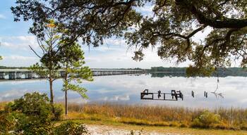 Camp Helen State Park featuring general coastal views