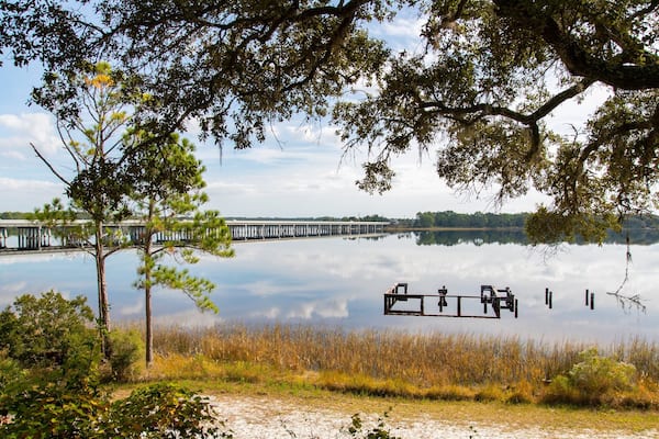 Camp Helen State Park featuring general coastal views