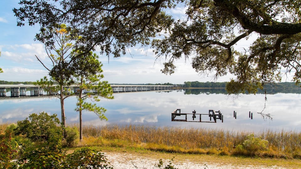 Camp Helen State Park featuring general coastal views