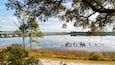 A calm lake with a pier extending into the water, surrounded by trees and grassy areas.