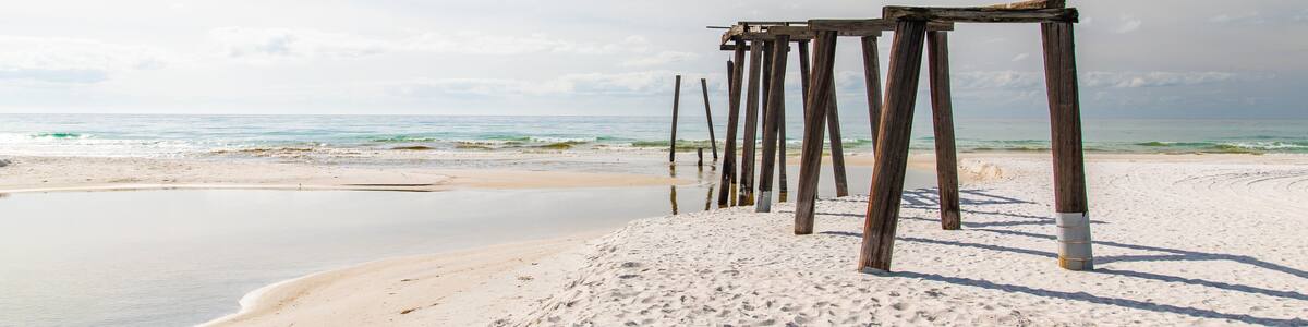 Camp Helen State Park which includes a sandy beach and general coastal views