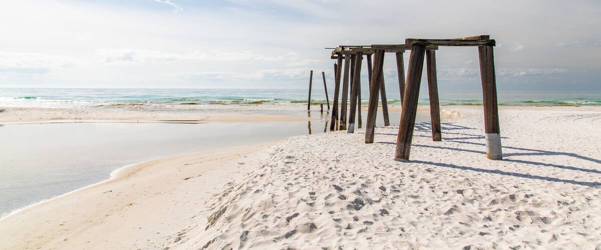 Camp Helen State Park which includes a sandy beach and general coastal views