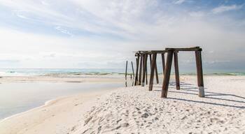 Camp Helen State Park which includes a sandy beach and general coastal views