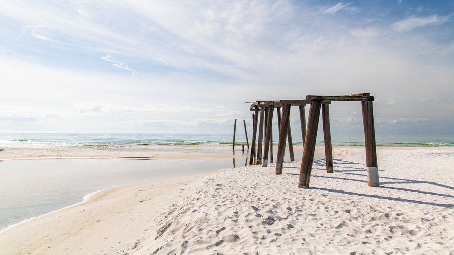 Camp Helen State Park which includes a sandy beach and general coastal views