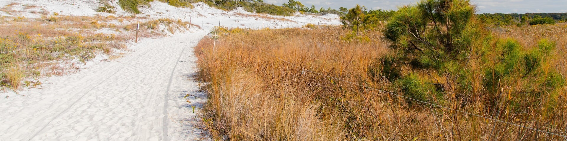 A snow-covered trail winding through a dry grassland with sparse trees and shrubs.