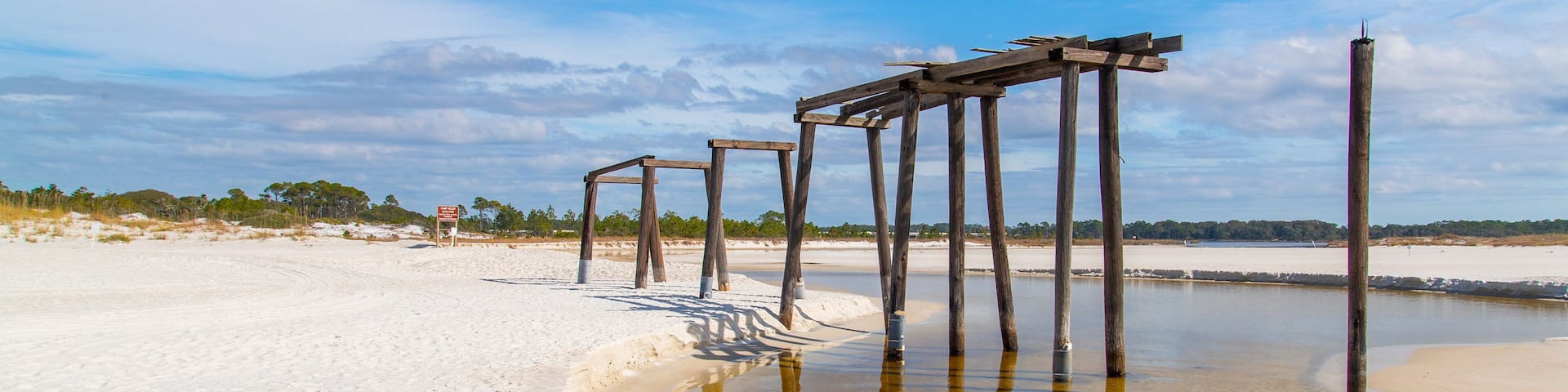 Camp Helen State Park featuring a sandy beach and general coastal views