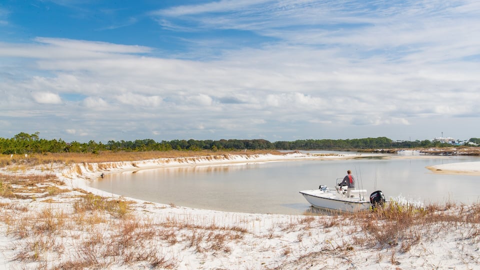 Camp Helen State Park showing a river or creek, a sandy beach and boating