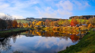 Reflection of nature and bright autumn colors in the lake Wirft, Stadtkyll, Germany