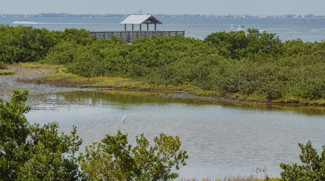 Laguna Madre Nature Trail