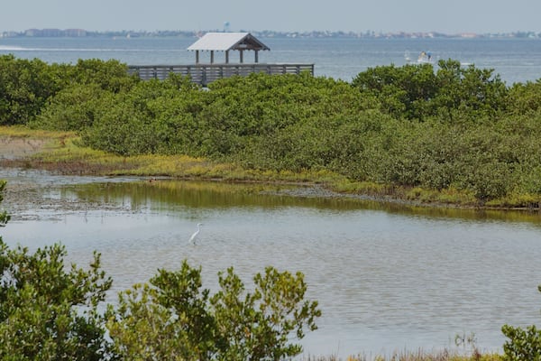 Laguna Madre Nature Trail
