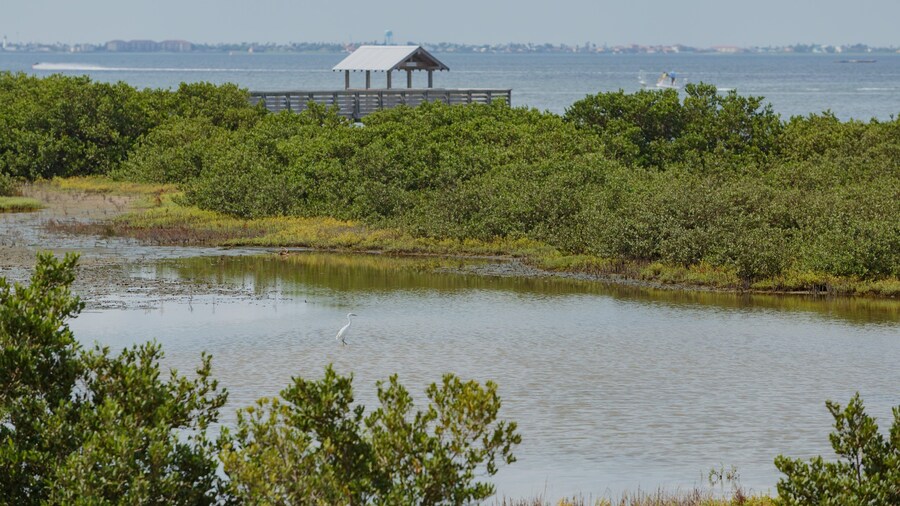 Laguna Madre Nature Trail
