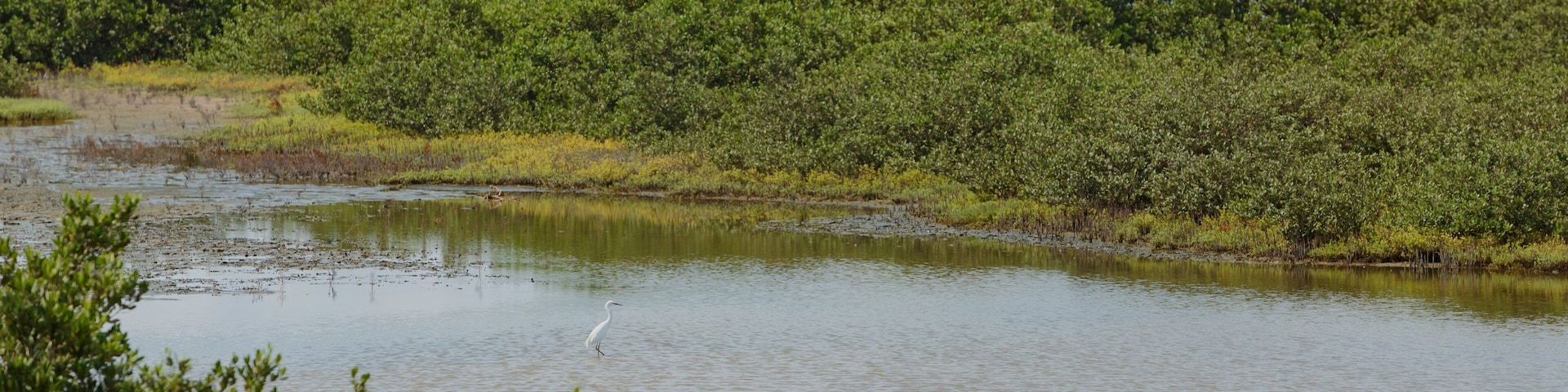 Laguna Madre Nature Trail