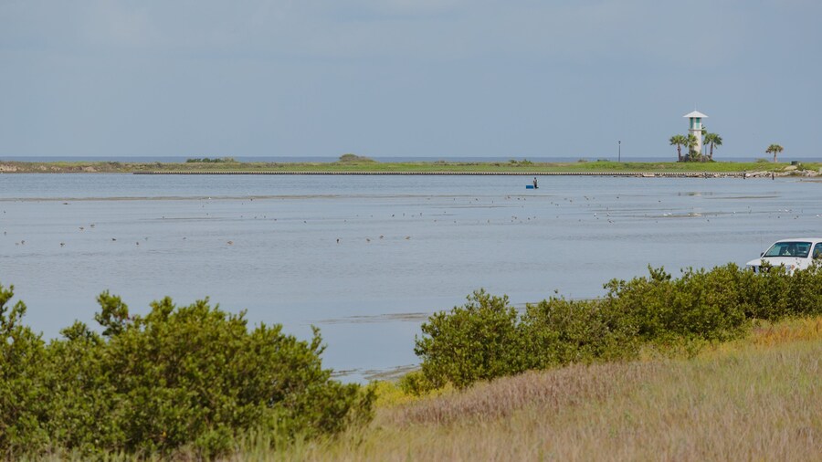 Laguna Madre Nature Trail