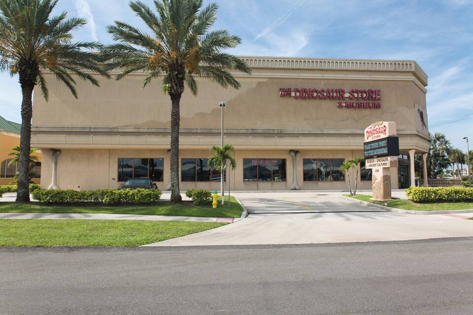 The Dinosaur Store & Museum building with palm trees and a clear sky.