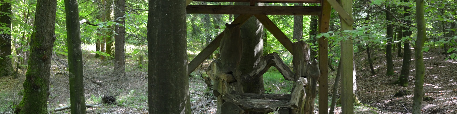 Impressionen aus dem Naturerlebnisraum in Schwabstedt. Der Rundweg beginnt bei einem Waldkindergarten und führt durch den Lehmsieker Wald.