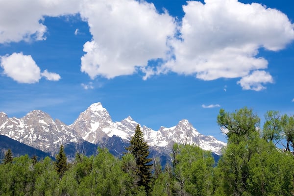 Une chaîne de montagnes aux sommets enneigés, un ciel bleu azur et une forêt au premier plan.