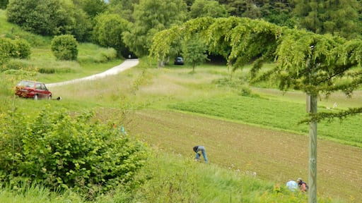 View from Santa Barbara