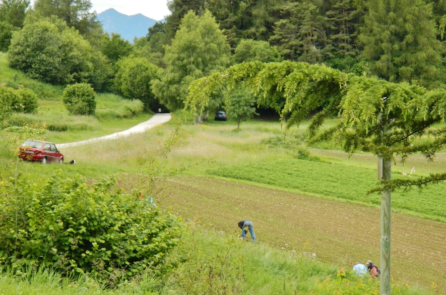 Paisaje rural con un camino serpenteante, un campo y una persona trabajando en él.