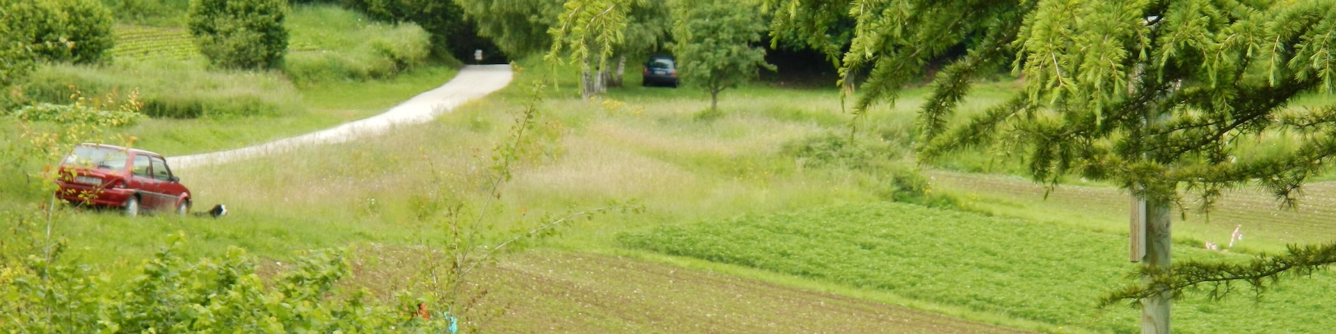 View from Santa Barbara