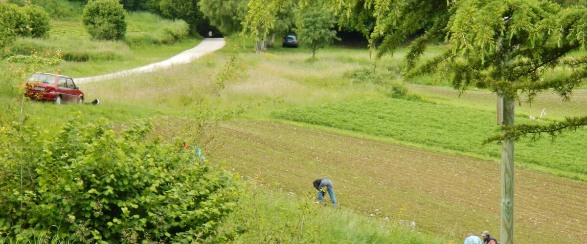 A rural landscape with a winding road, a field, and a person working in the field.