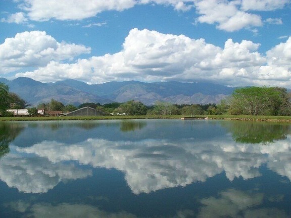 This photo was taken by the reservoir at Escuela El Sembrador in Catacamas, Honduras. El Sembrador is a mission school who’s goal is to find the poorest boys in Honduras and give them an education that can help them become successful leaders in Honduras.