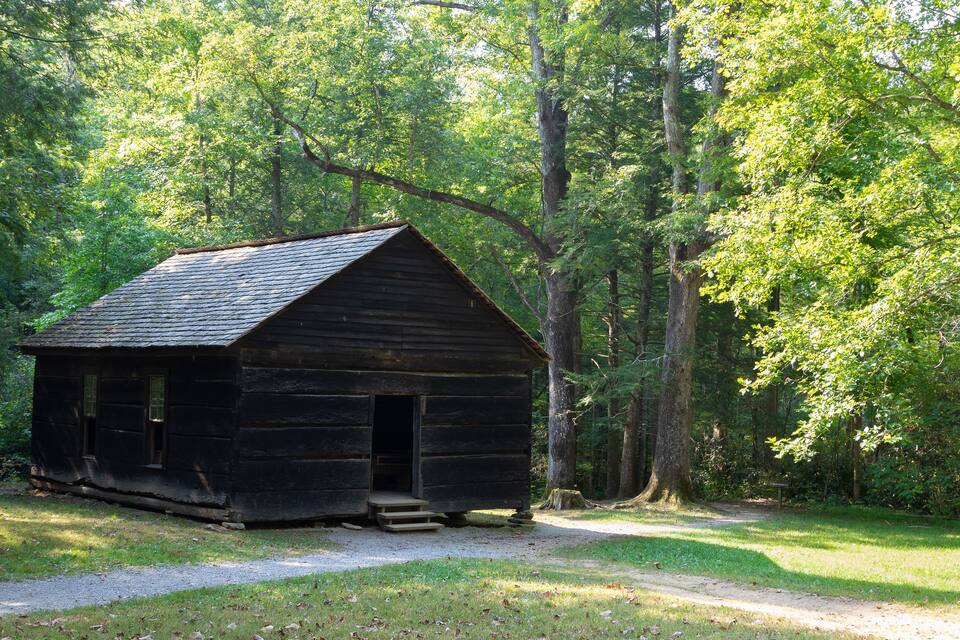 A rustic wooden cabin surrounded by dense forest.