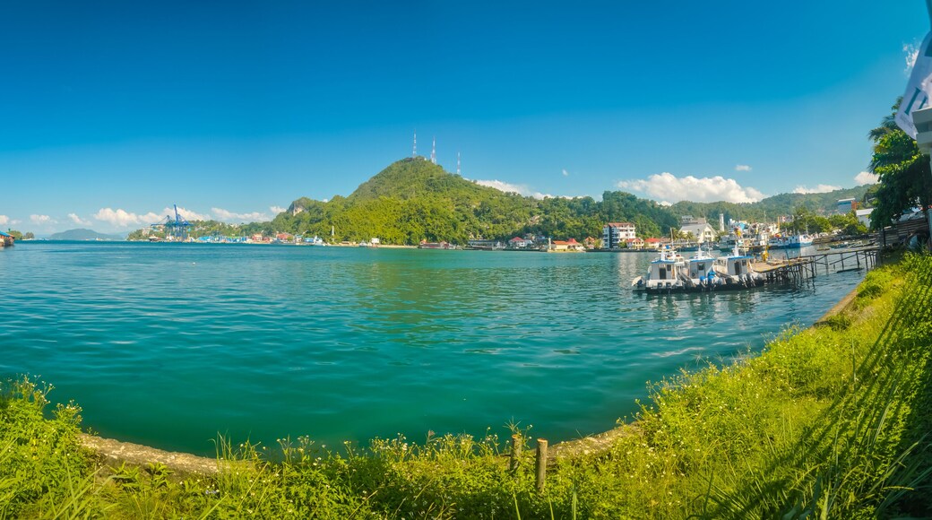 A coastal town with a clear blue sky, a hill with a tower, and boats docked along the shore.