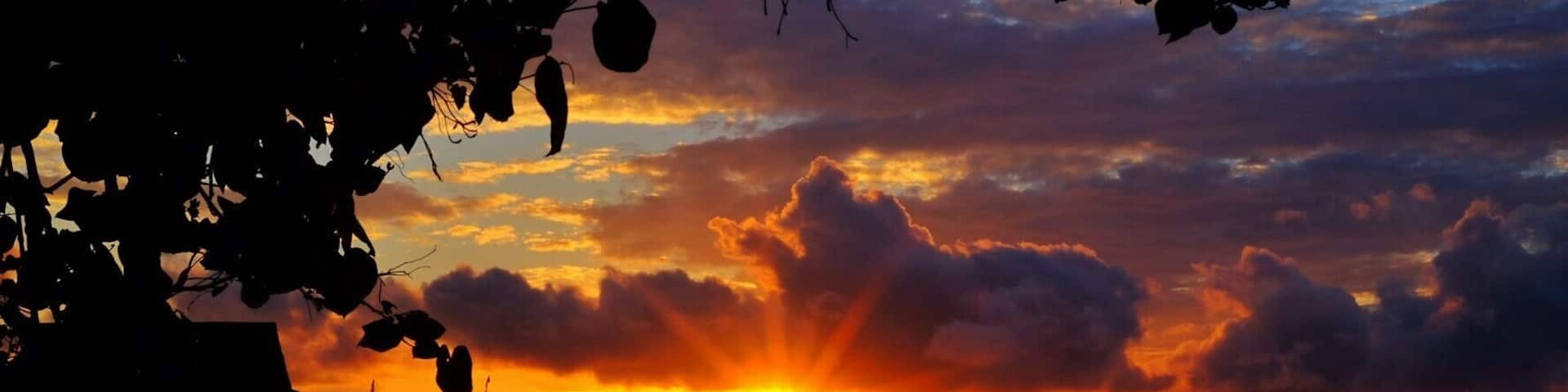 Morning beauty from Parigi Moutong dive resort..