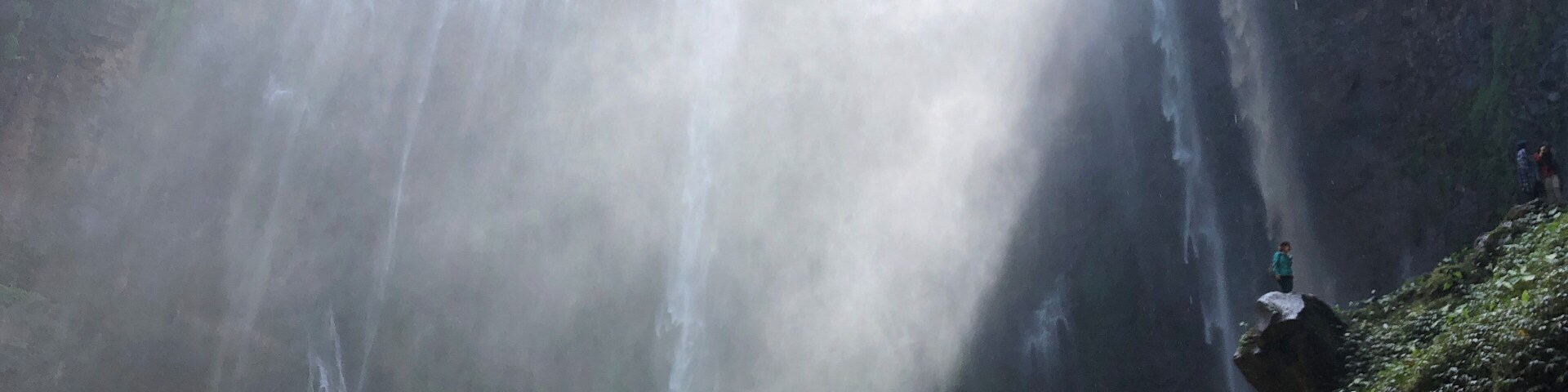 Uma cascata desce por um penhasco rochoso, cercada por vegetação exuberante.