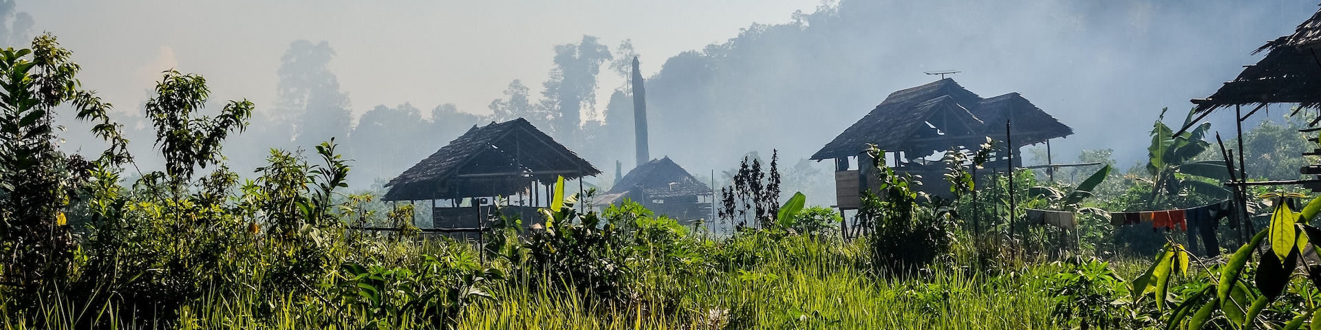 Huts on stilts inhabited by the Wana people stand among the tall grass of the Morowali Reserve, in Central Sulawesi