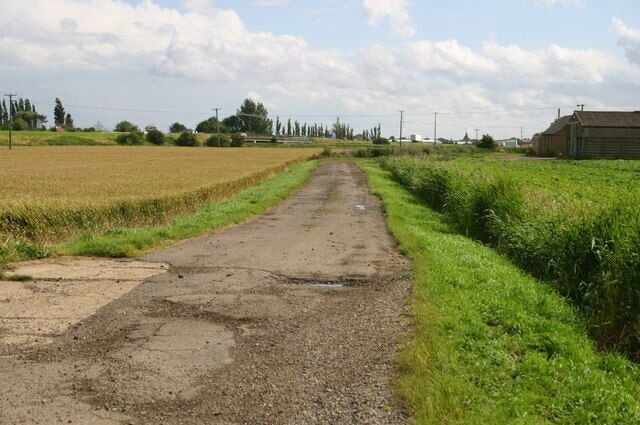 Aspen farm by Dock bridge Aspen farm by Dock bridge