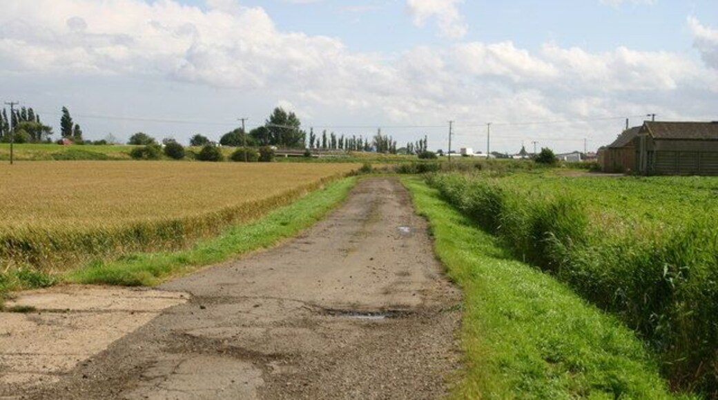 Aspen farm by Dock bridge Aspen farm by Dock bridge