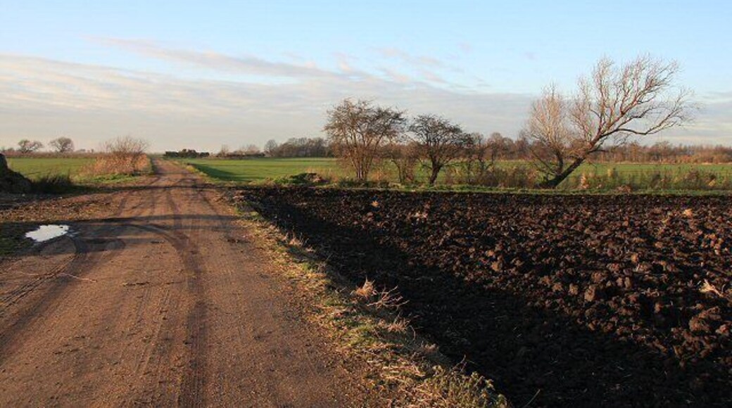 Track to Purrant's Farm According to the OS map, this track is still a minor public road (coloured yellow). But it is certainly lacking a tarred surface.
