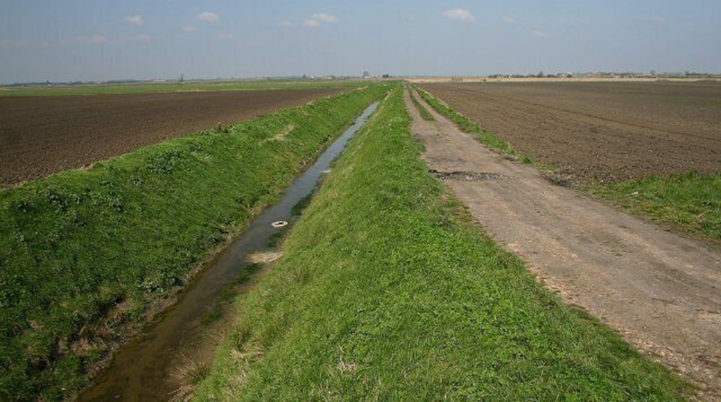 How Fen Drove This track leads northwards from the B1098 to How Fen and the Forty Foot Drain.