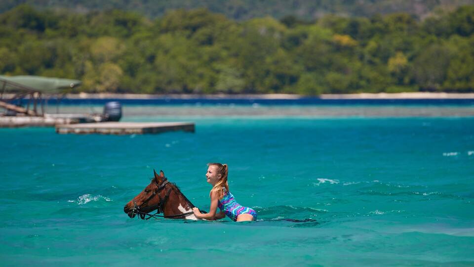 A woman in a swimsuit riding a horse in turquoise waters with a dock and greenery in the background.