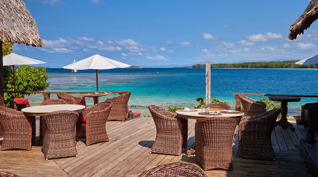 Isla Ratua mostrando vistas generales de la costa y escenas tropicales