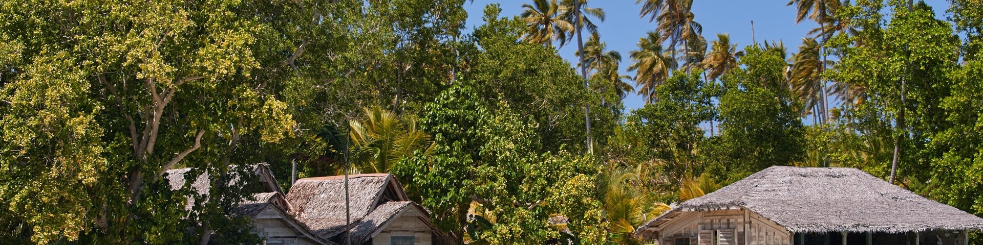 Ratua Island featuring general coastal views, land animals and tropical scenes