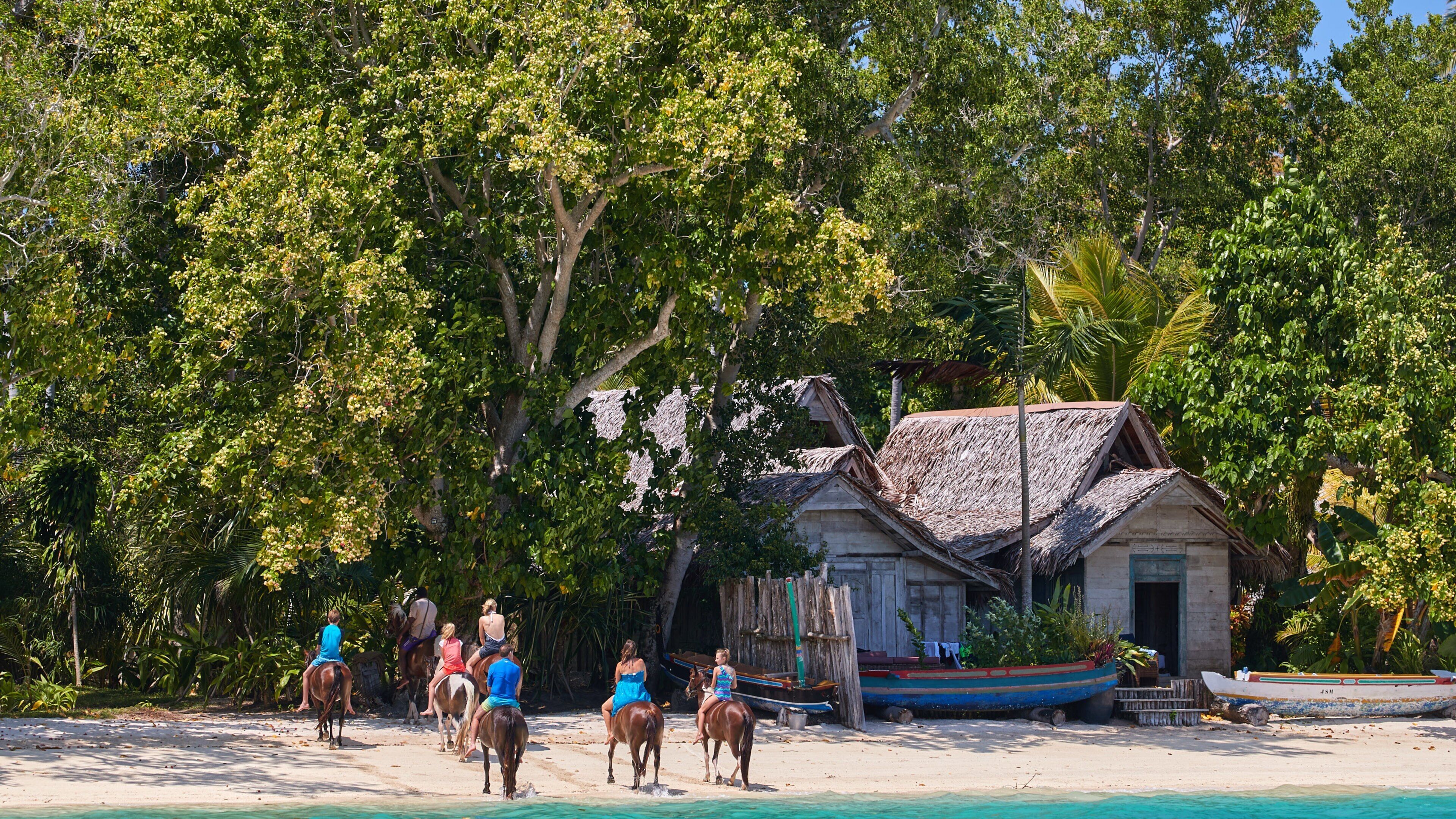Isla Ratua ofreciendo animales terrestres, escenas tropicales y una playa de arena