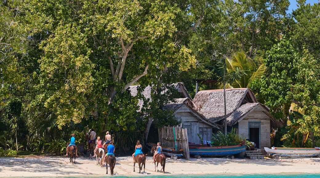 Isla Ratua ofreciendo animales terrestres, escenas tropicales y una playa de arena