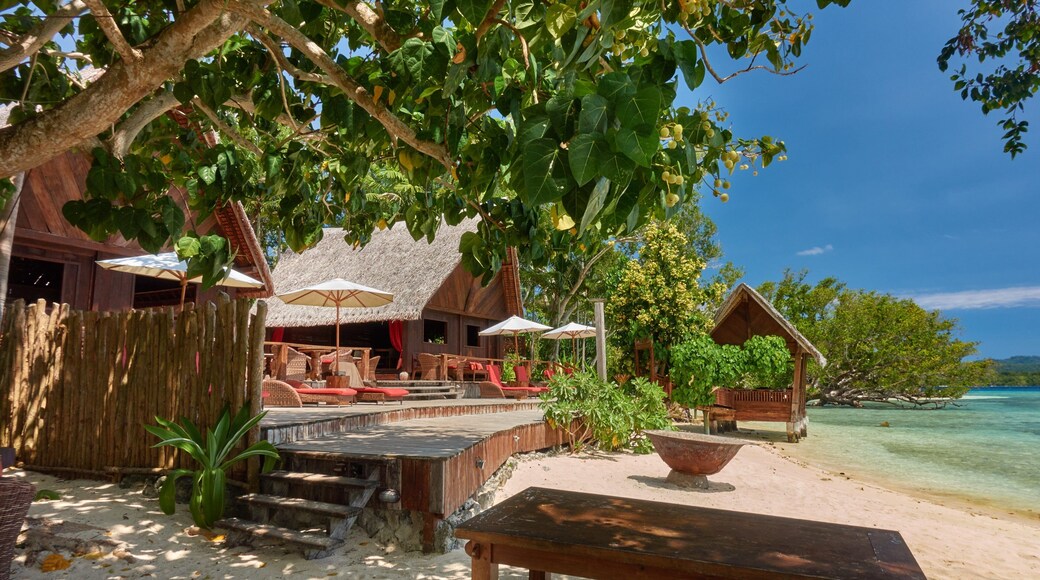 Isla Ratua ofreciendo escenas tropicales, una playa y vista general a la costa
