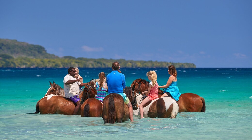 Đảo Ratua có tính năng cảnh bờ biển, động vật trên can và quang cảnh miền nhiệt đới